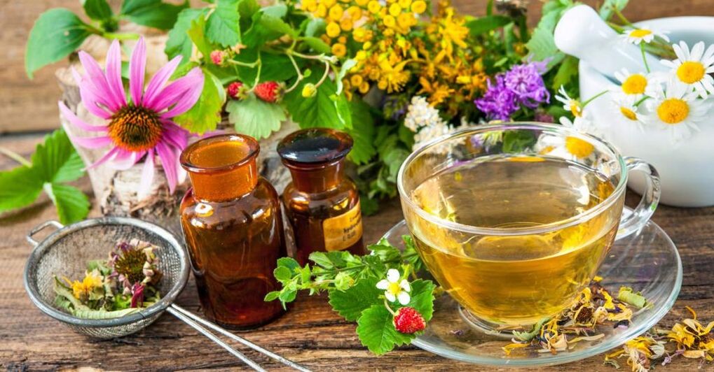 Servikal osteokondroz tedavisi için bitkisel infüzyonlar