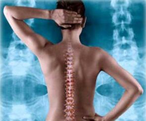 sırt omurga illüstrasyonu